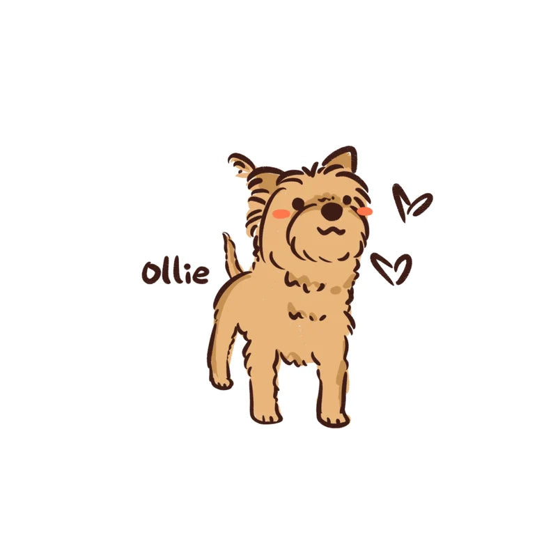 Custom Kawaii Pet Doodle – Cute Chibi Style Portrait (Digital Download)