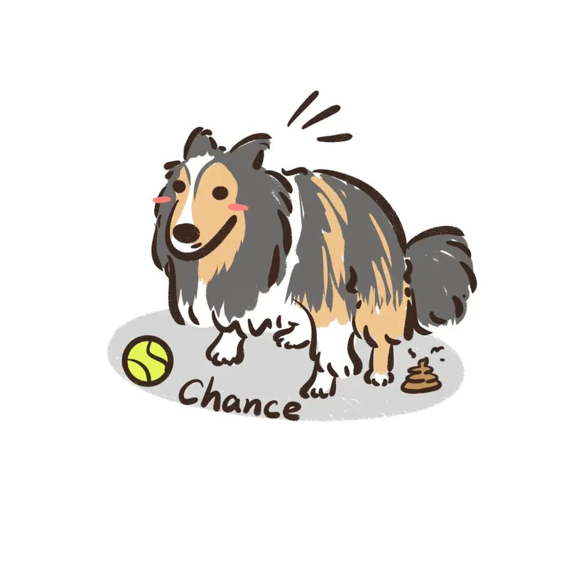 Custom Kawaii Pet Doodle – Cute Chibi Style Portrait (Digital Download)